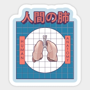 Human Lung Anatomy Sticker